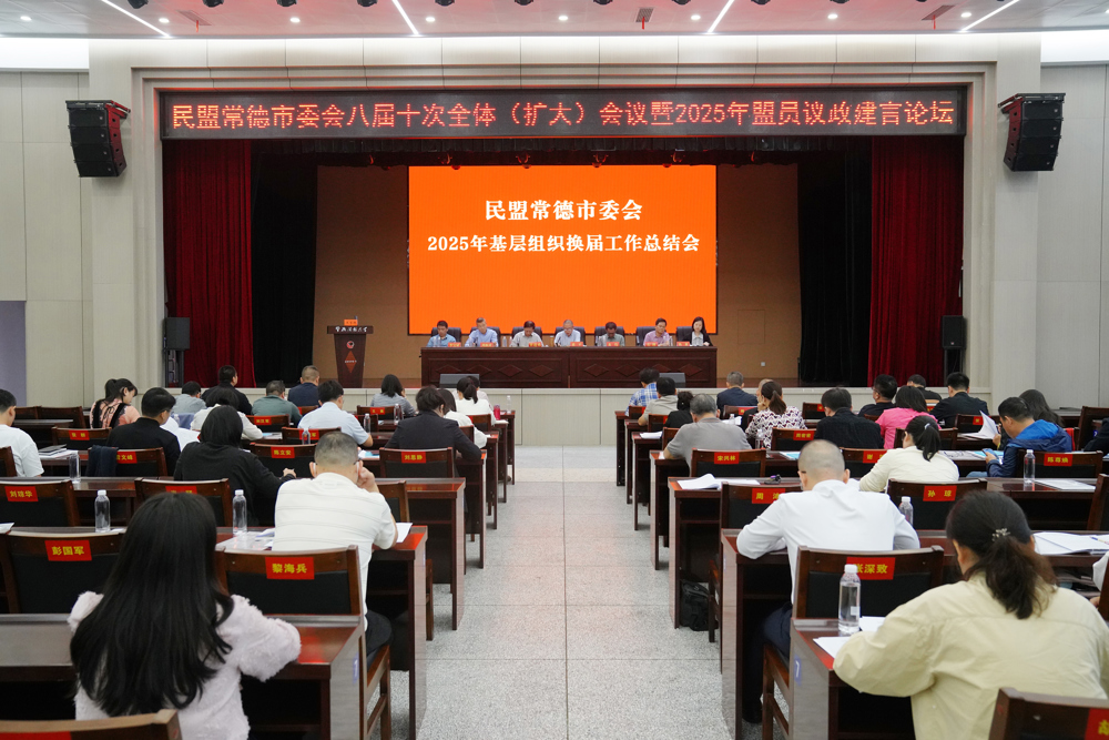 0929民盟常德市委会2025年基层组织换届工作总结会