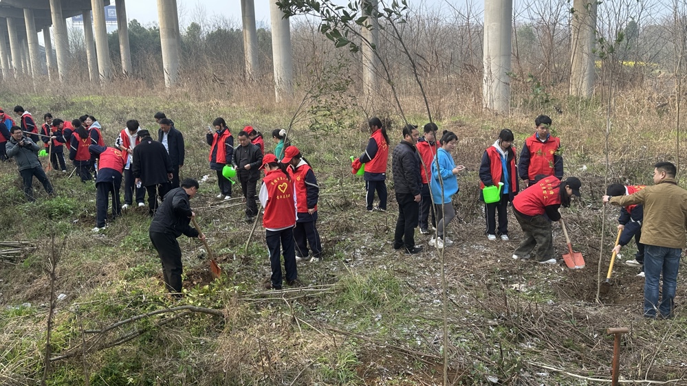 0313民盟常德市六中支部开展植树节志愿服务活动5