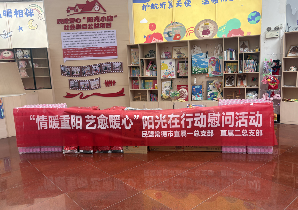 1015民盟常德市委会开展“情暖重阳，艺愈暖心”主题活动3